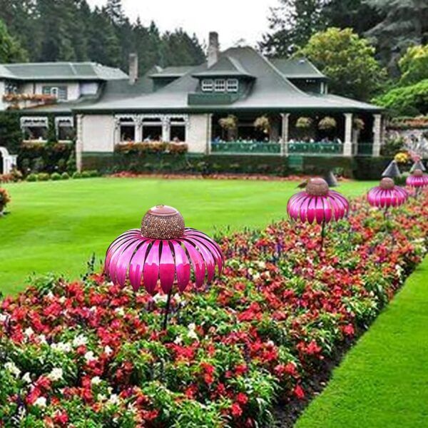 Coneflower Fuglemater