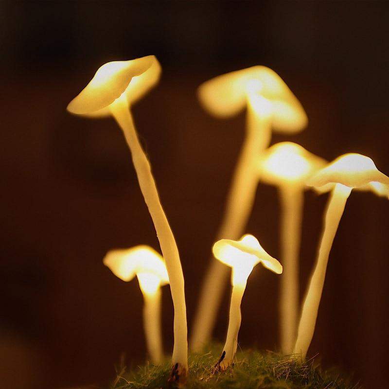 DIY Sopplampe for Kreative Prosjekter 6