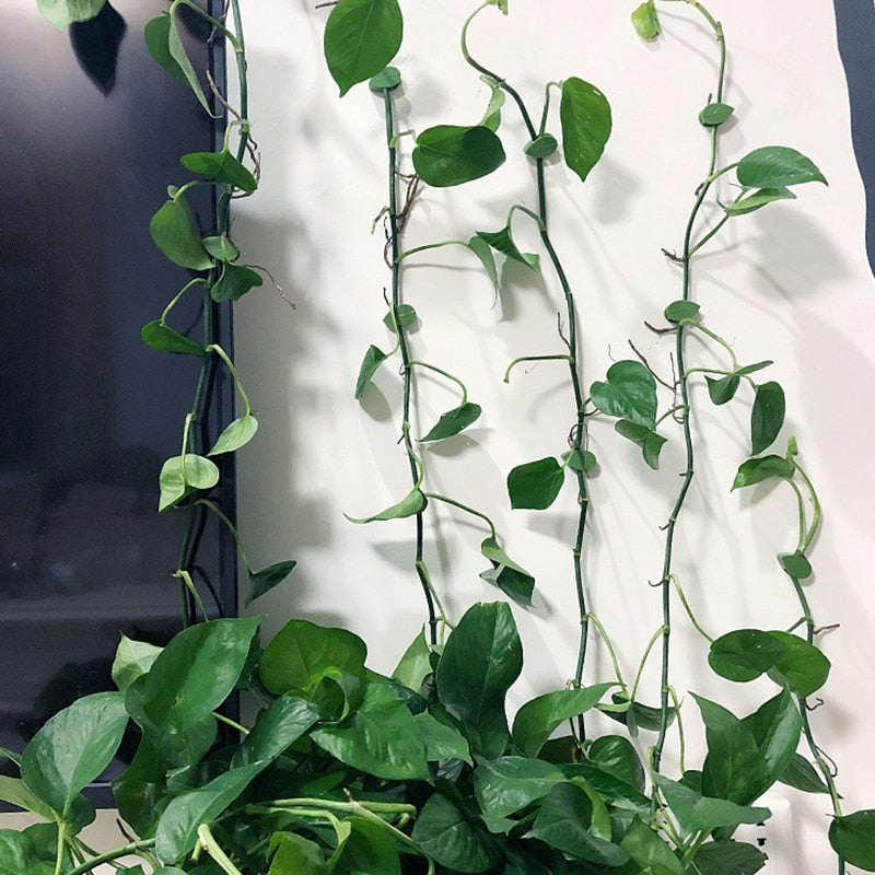 Festeklips For Planteklatreartefakt