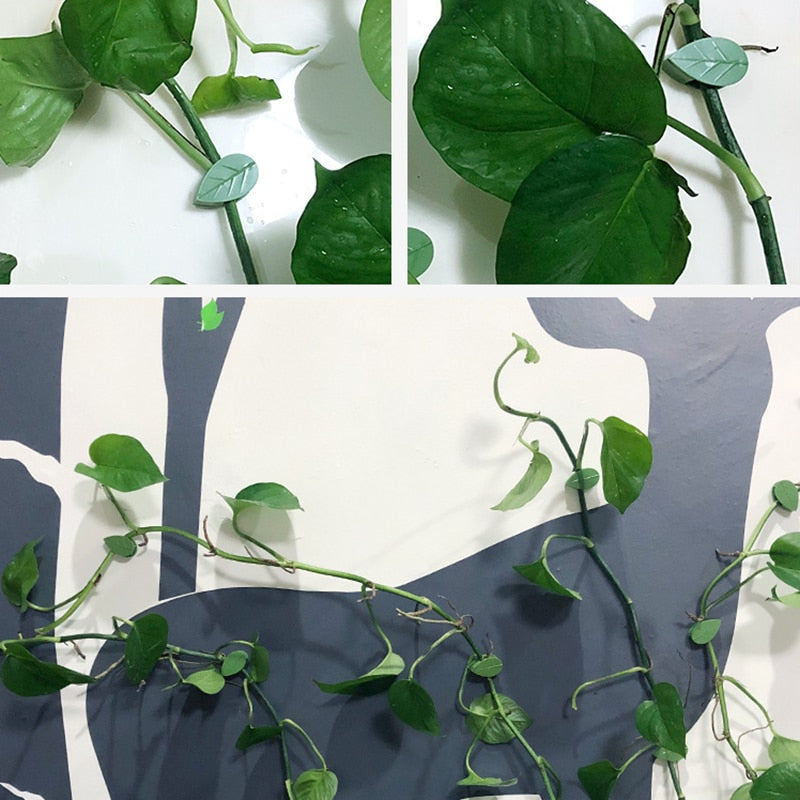 Festeklips For Planteklatreartefakt