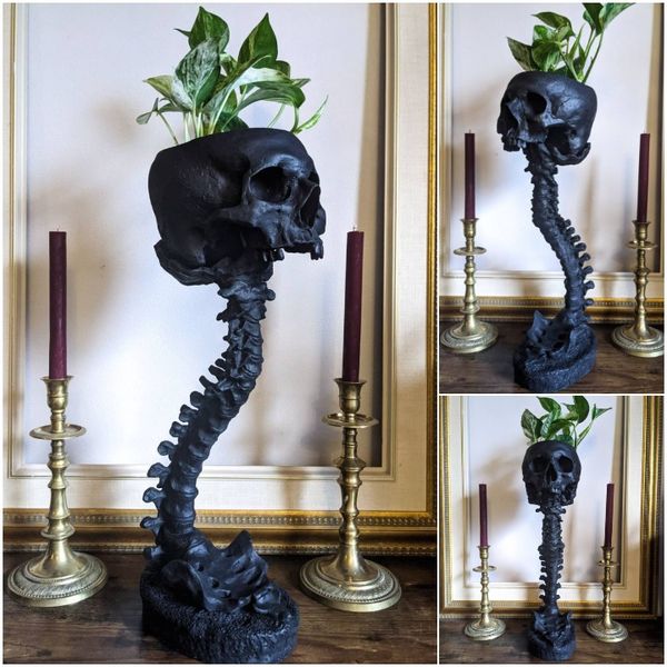 Planter med Hodeskalle og Ryggrad Gotisk Design Dekorasjon 0