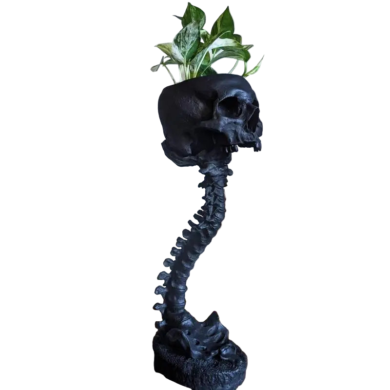 Planter med Hodeskalle og Ryggrad Gotisk Design Dekorasjon