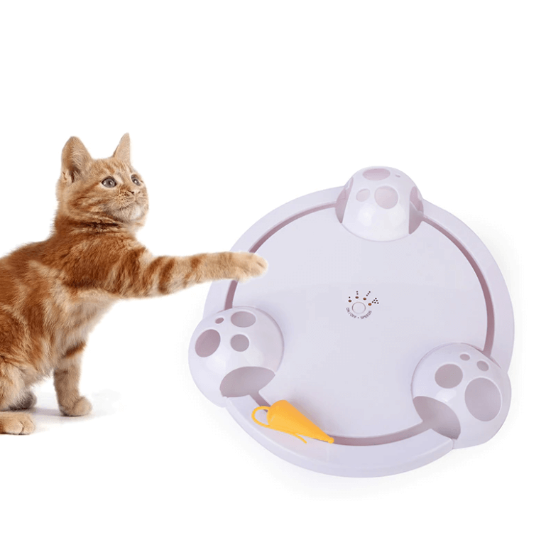Pounce Katteleke