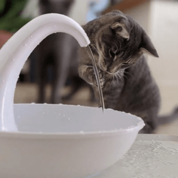 Premium Automatisk Drikkefontene For Katter