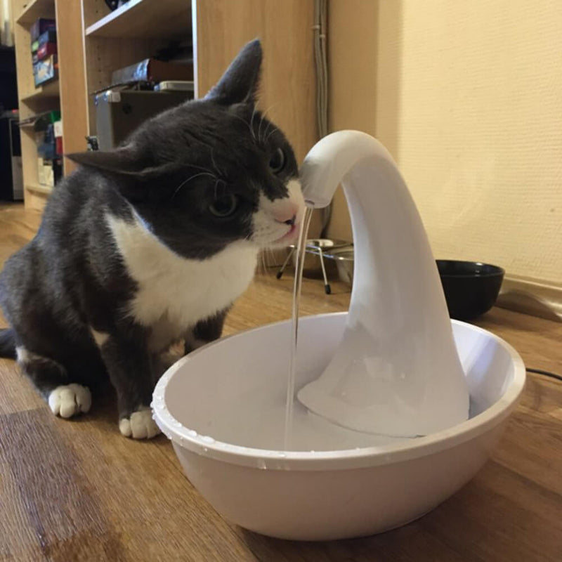 Premium Automatisk Drikkefontene For Katter