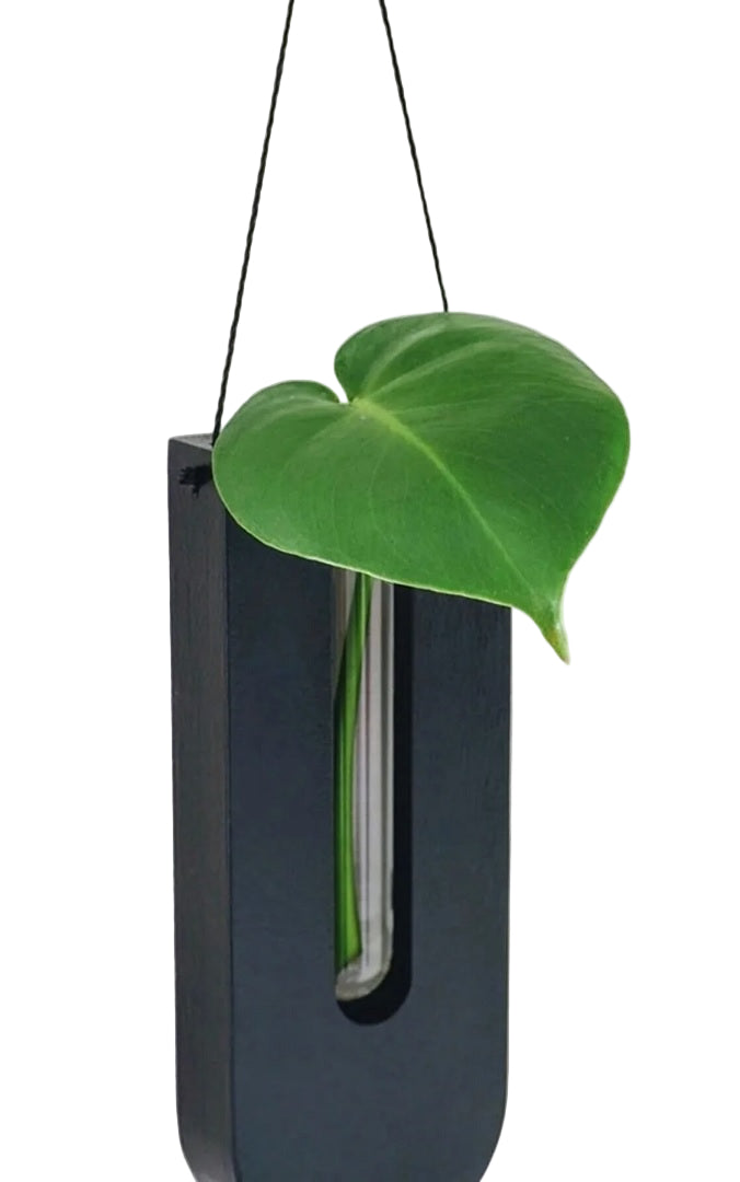 Rustikk Veggblomster Sett for Husplanter – 7 Delt Planteholder Med Minimalistisk Design 3