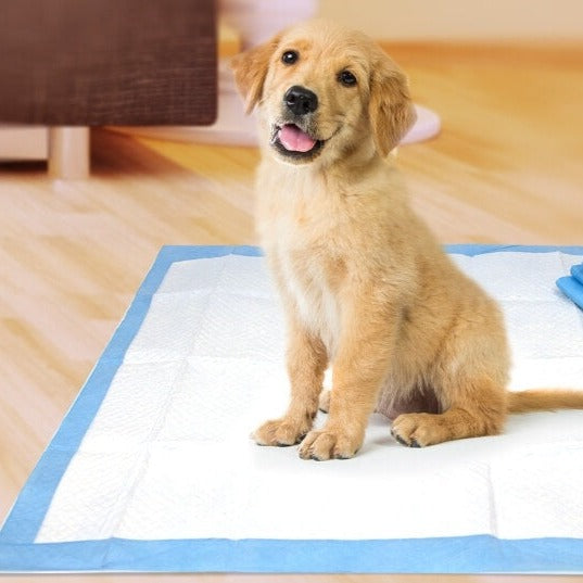 Tisseputer For Hunder