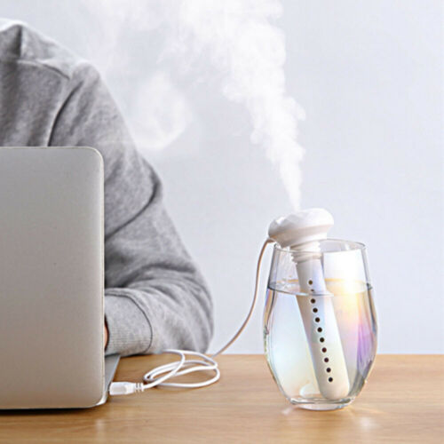 Vannflaske Luftfukter