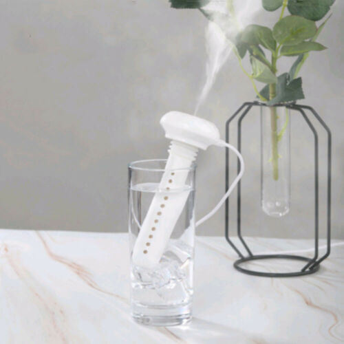 Vannflaske Luftfukter