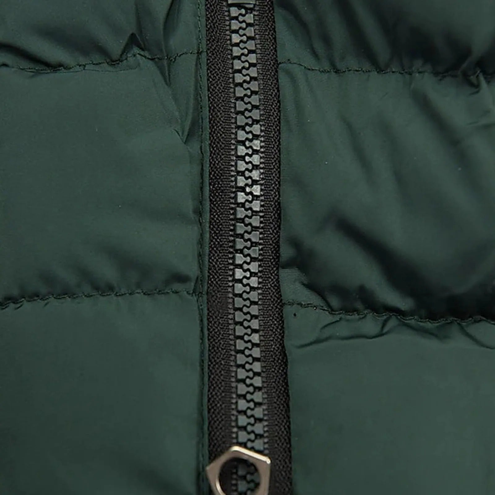 Bomullsvattert parkas for dame